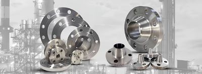 kwaliteit Flanken van titanium Fabriek